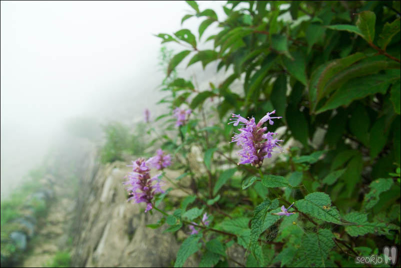 DSCF4869.jpg
