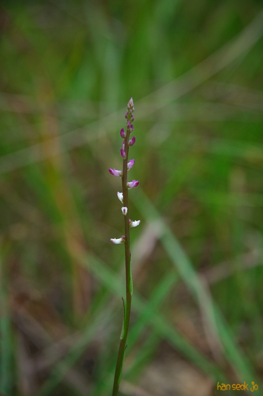 DSC_7709.jpg
