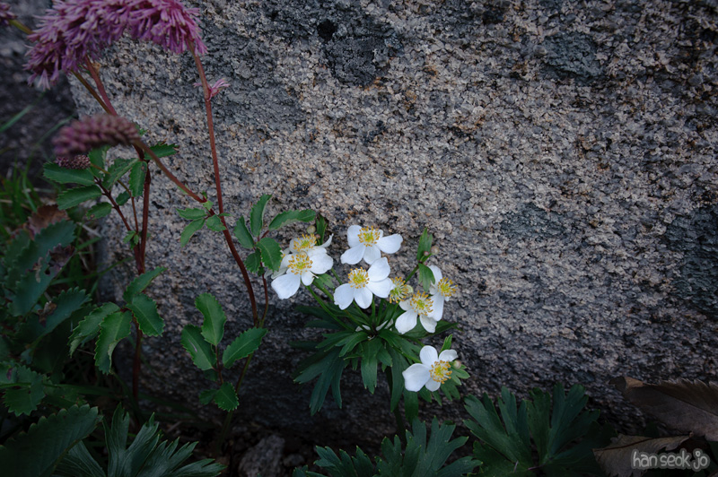 HSJ_0586.jpg