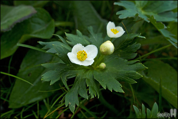 DSCF1838.jpg