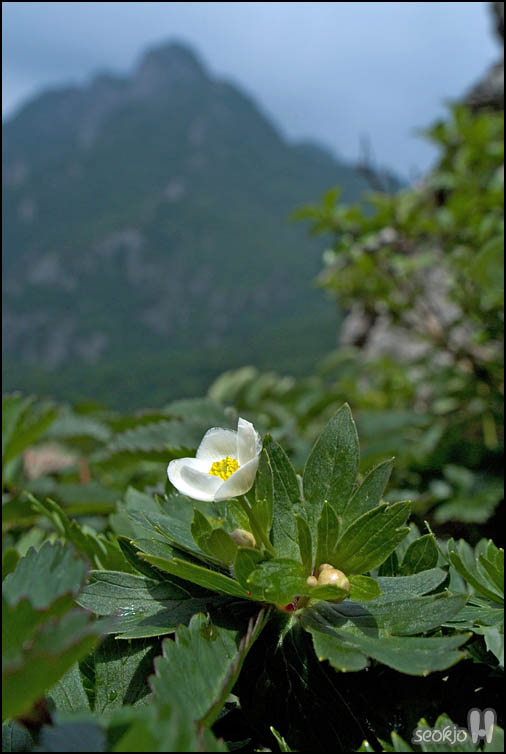 DSCF1847.jpg