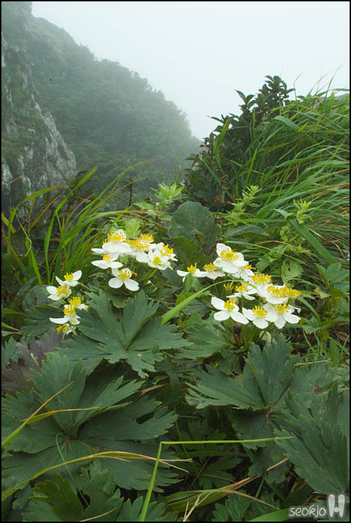 DSCF8107.jpg