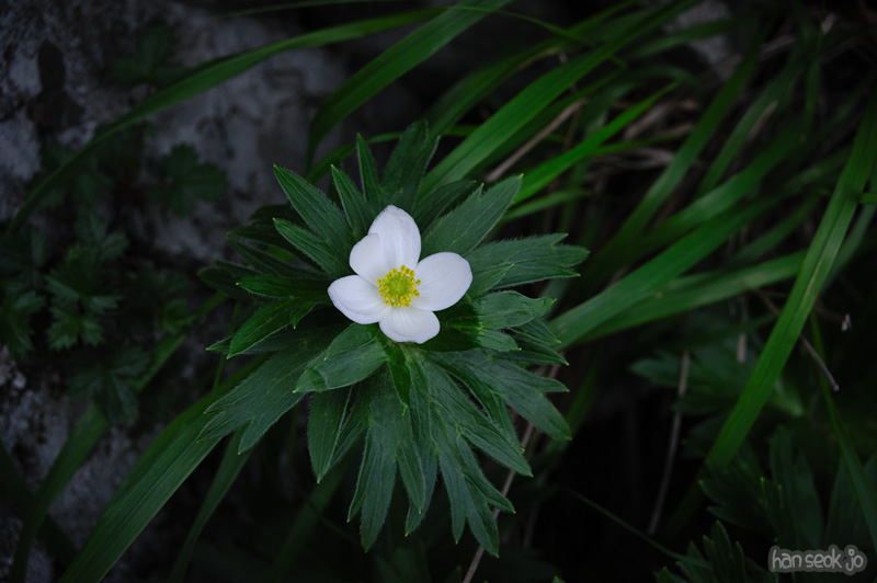 HSJ_0412.jpg