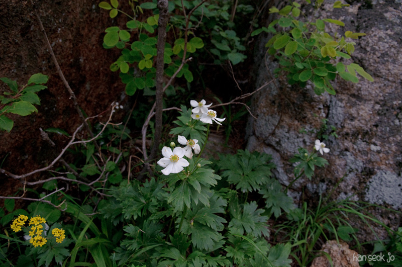 DSC_2330.jpg