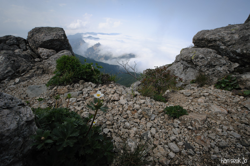 HSJ_3877.jpg