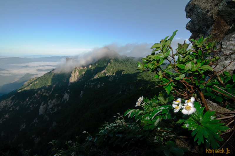 DSC_7903.jpg