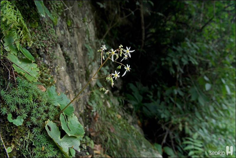DSCF5095.jpg