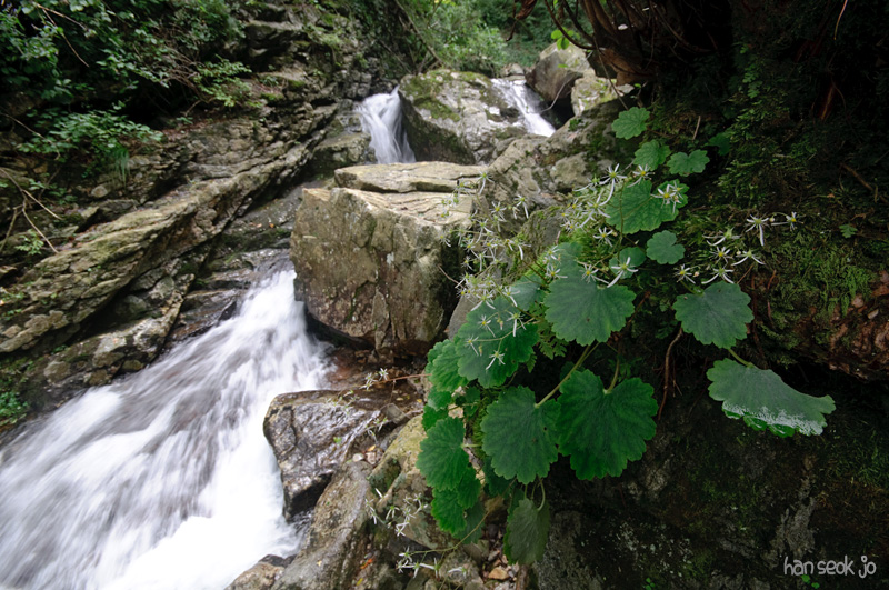 DSC_8295.jpg