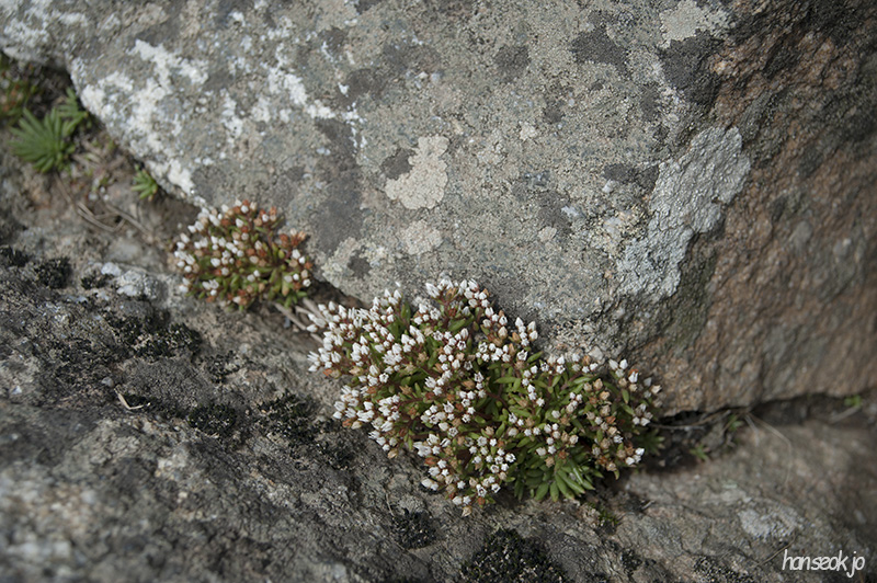 HSJ_6239.jpg