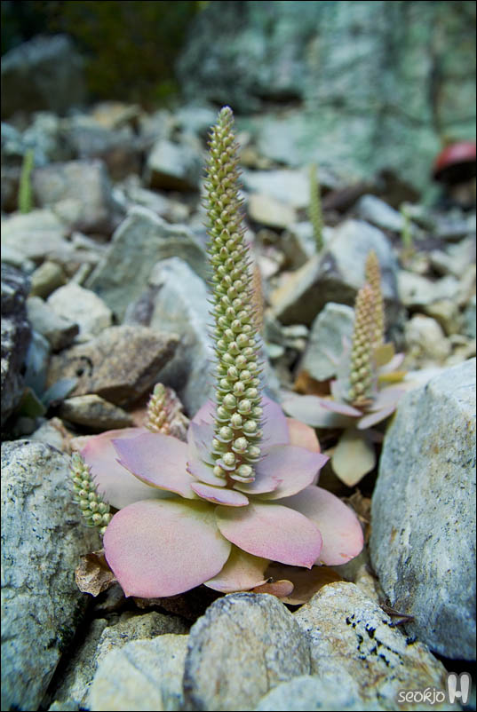 DSCF5819.jpg