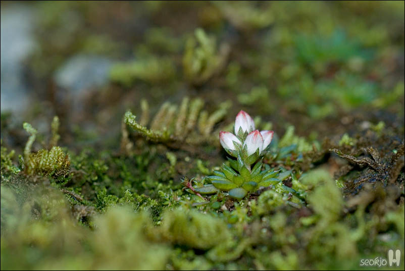 DSCF5953.jpg