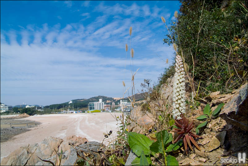 DSCF5970.jpg