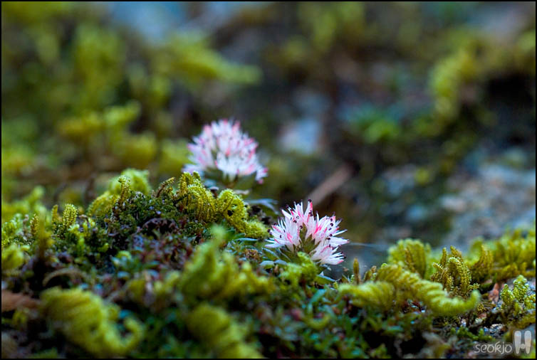 DSCF4398.jpg