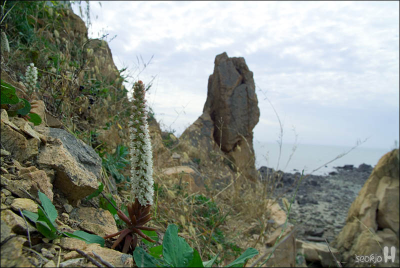DSCF5977.jpg