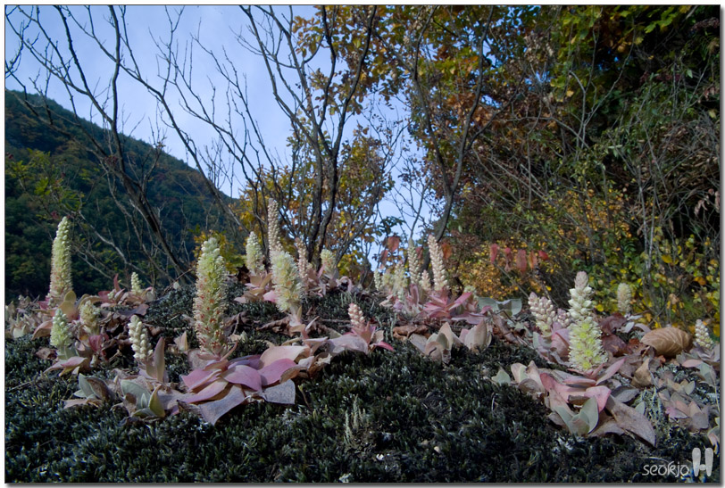DSCF1474.jpg