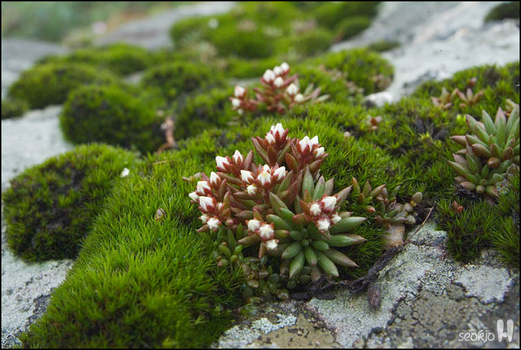 DSCF8087.jpg