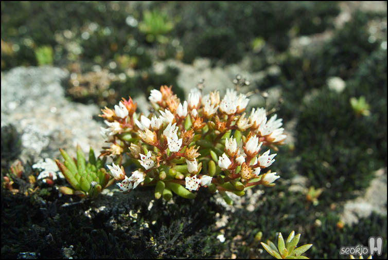 DSCF8533.jpg