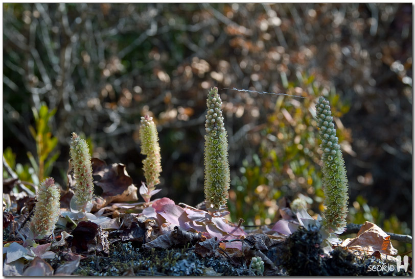 DSCF1483.jpg