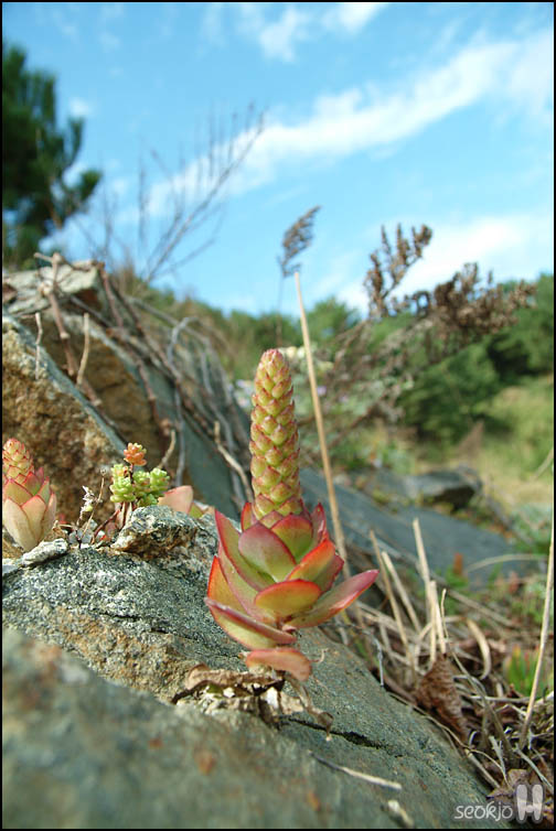 DSCF9899.jpg