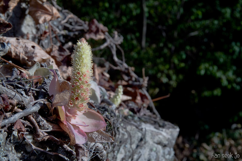 DSCF1479.jpg