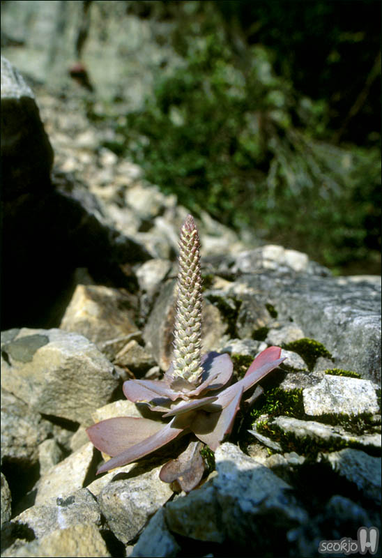 071010a.jpg