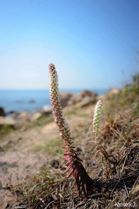 HSJ_5213.jpg