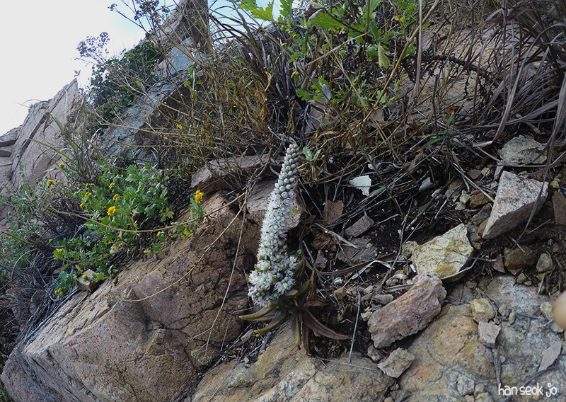 GOPR2468.jpg