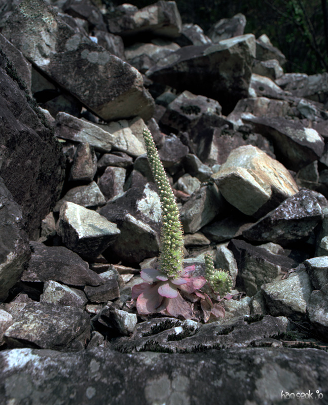 img047.jpg