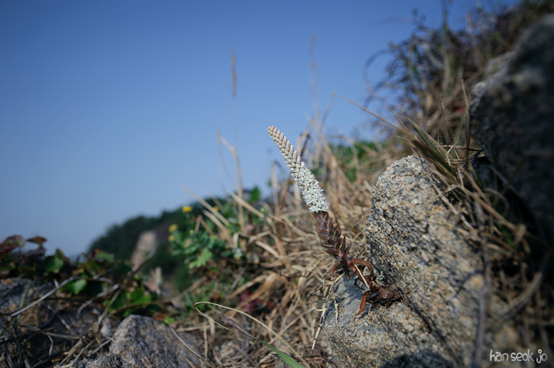 HSJ_1245.jpg