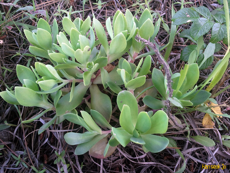 20100718-3.jpg