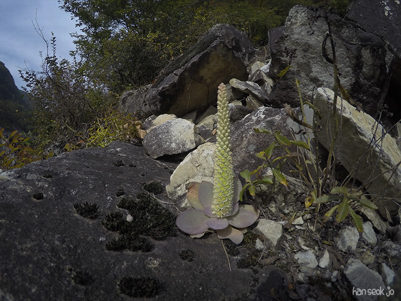GOPR2936.jpg