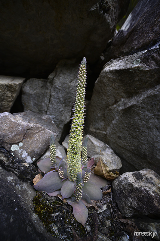 DSC_4676.jpg