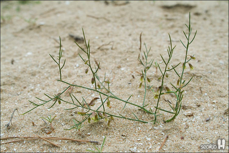DSCF8895.jpg
