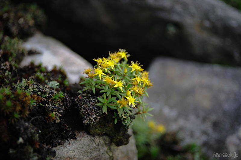 HSJ_0750.jpg
