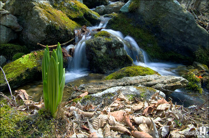DSCF3174.jpg