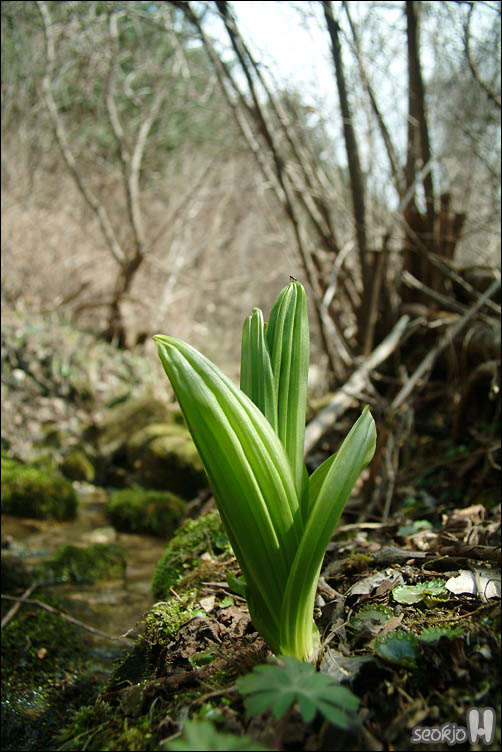 DSCF7048.jpg