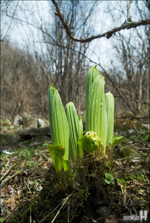DSCF7056.jpg