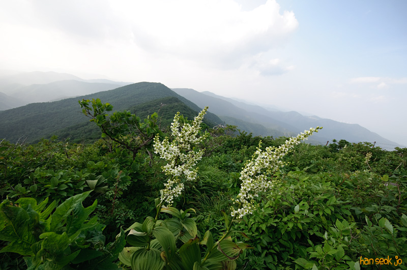 DSC_7284.jpg