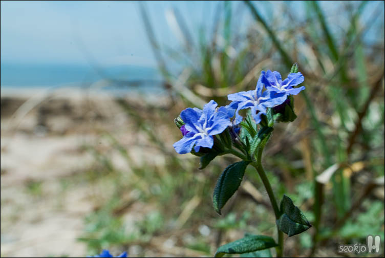 DSCF8123.jpg