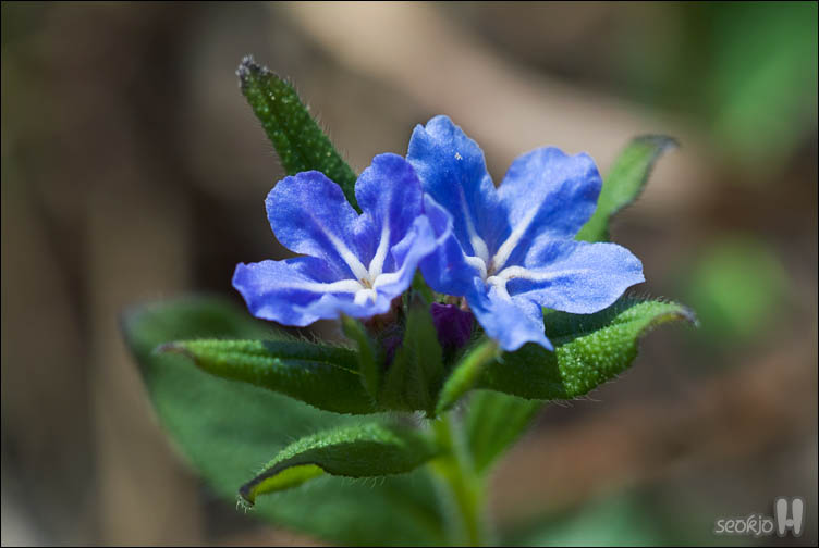 DSCF8127.jpg