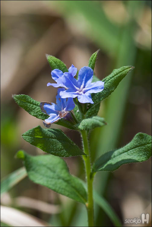 DSCF8128.jpg