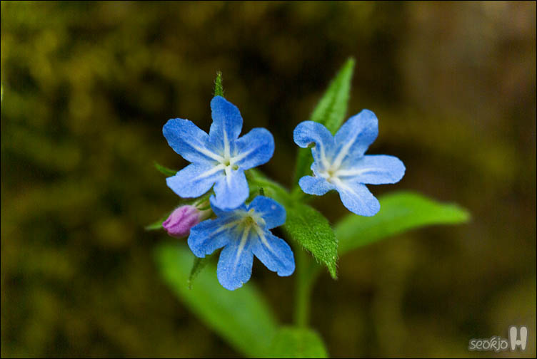 DSCF8472.jpg