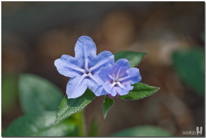 DSCF8533.jpg