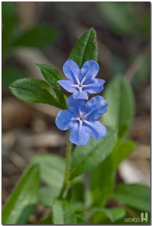 DSCF8534.jpg