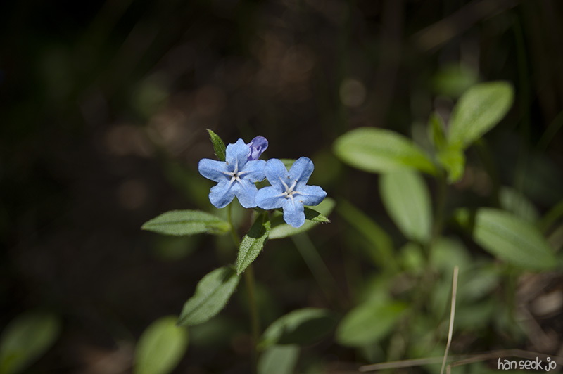 HSJ_5792.jpg