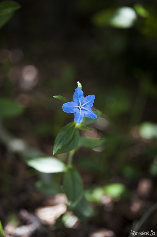 HSJ_5794.jpg