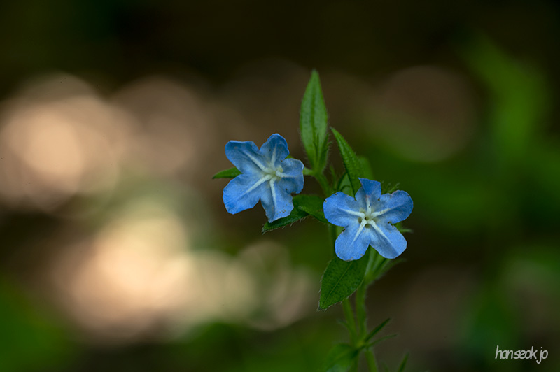 DSC_5216.jpg