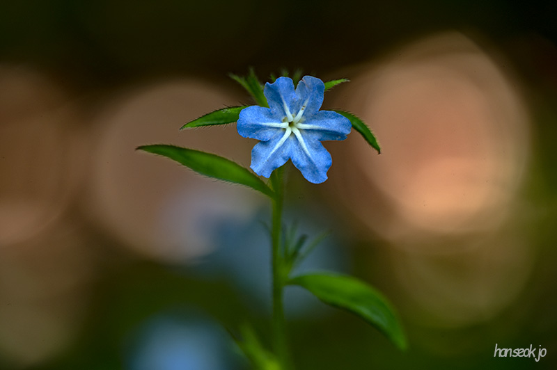 DSC_5214.jpg