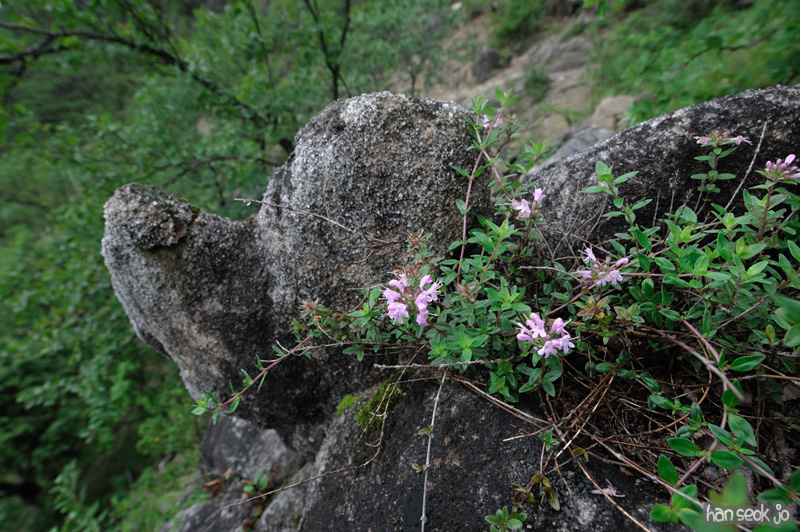 HSJ_2437.jpg
