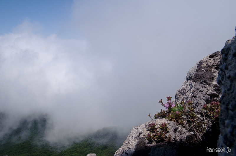DSC_3405.jpg